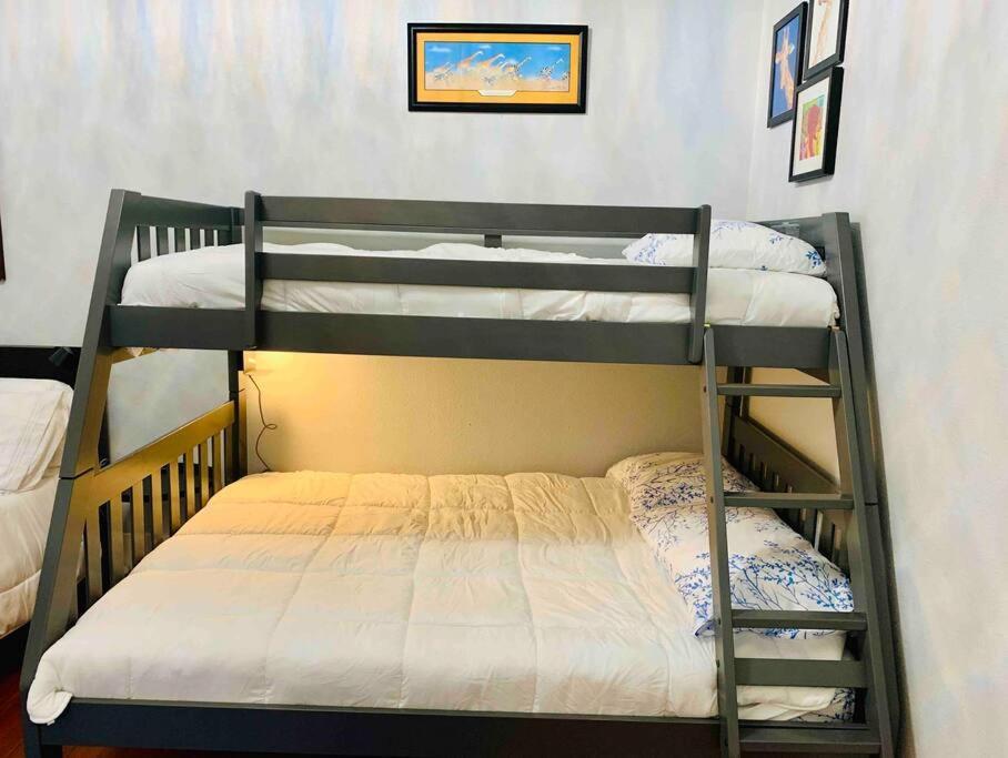 Pershing Place: Historic Home With Heated Spa/Pool By Zoo, Pearl, Golf, Witte San Antonio Luaran gambar